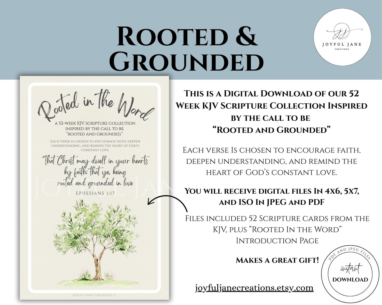 KJV Scripture Cards - 52 Week Bible Study & Memorization Set "Rooted and Grounded"