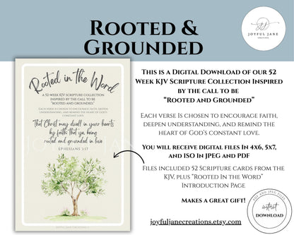KJV Scripture Cards - 52 Week Bible Study & Memorization Set "Rooted and Grounded"