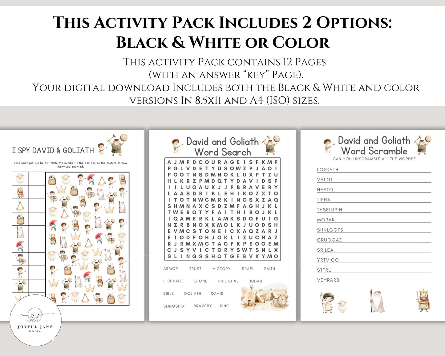 David and Goliath Bible Activity Pack - 12 Printable Pages for Sunday School & Homeschool - Digital Download