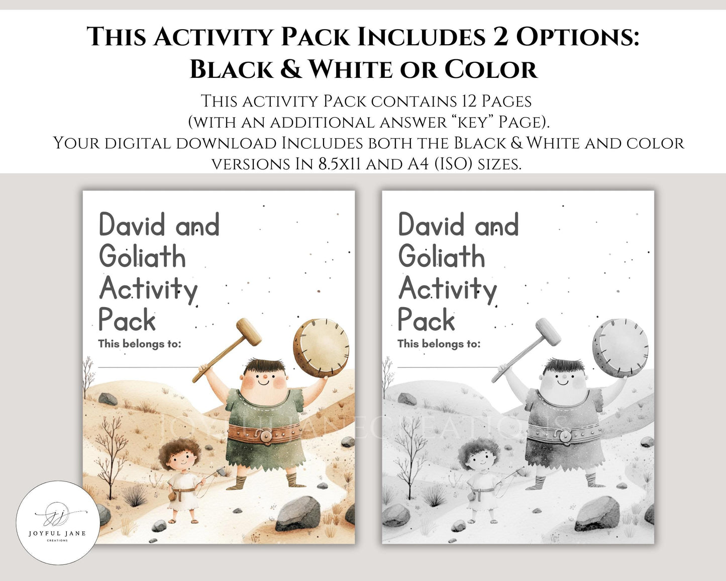 David and Goliath Bible Activity Pack - 12 Printable Pages for Sunday School & Homeschool - Digital Download