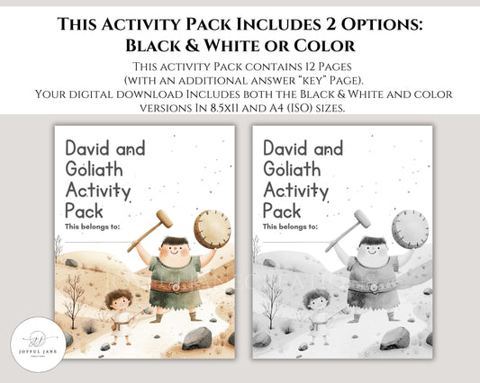David and Goliath Bible Activity Pack - 12 Printable Pages for Sunday School & Homeschool - Digital Download